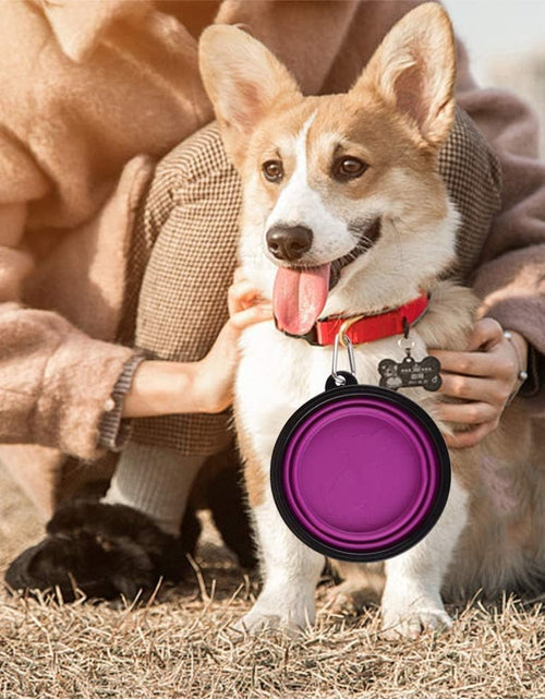 Load image into Gallery viewer, Large Collapsible Dog Bowls, 34Oz Travel Water Food Bowls Portable Foldable Collapse Dishes with Carabiner Clip for Traveling, Hiking, Walking, 2 Pack
